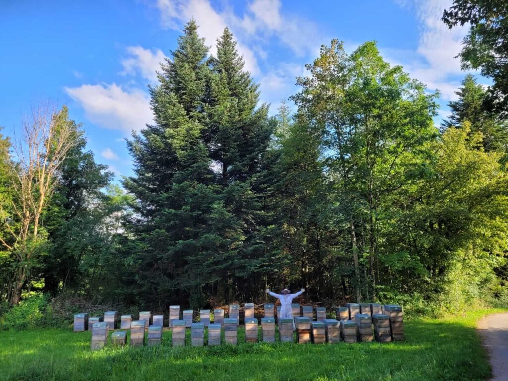 L'Abeille Paix-Reine, différentes sortes de miels au sapin, tilleul, châtaigner, acacias et propolis. A retrouver à La Vieille Ferme, marché de producteurs locaux à Feigères, Haute-Savoie.