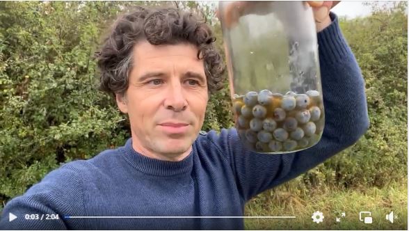 L'Ame Culinaire : Stève Defaudais nous parle de la préparation des prunelles de son jardin. A retrouver à la Vieille Ferme marché de producteurs locaux à Feigères, Haute-Savoie.