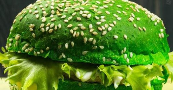 Burger Chlorophylle et plantes sauvages - Stève Defaudais à retrouver à Feigères à La Vieille Ferme